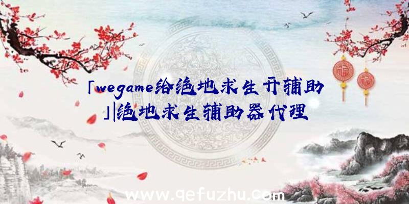 「wegame给绝地求生开辅助」|绝地求生辅助器代理